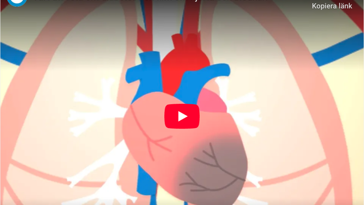 Värt att veta om Diabetes